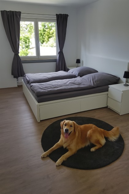Schlafzimmer Ferienwohnung Würzburg mit Hund Eingang der Ferienwohnung Heimatgefühl in Würzburg mit Hundeerlaubnis